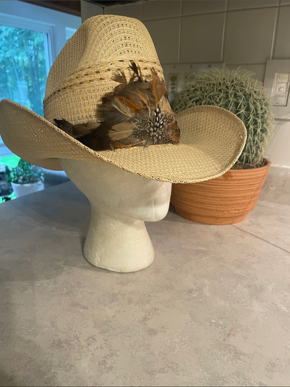 Steer Brand Mexico Straw Cowboy Hat with Feather Trim
